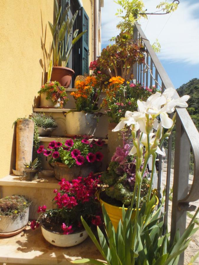 La Casa Di Sveva Daire Ragusa Dış mekan fotoğraf